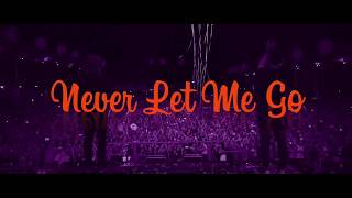 Alok &amp; Bruno Martini, Zeeba - Never let me Go (Extended mix)
