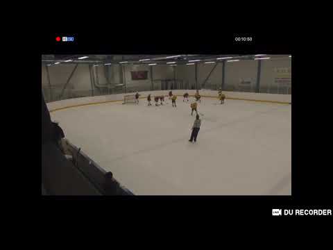 Tappara C2 AA 7.3.20 -ilves
