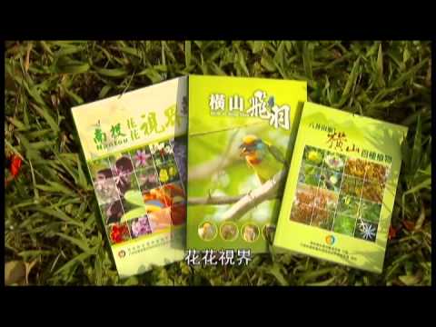 2013有影秀台灣-永興知我鷹