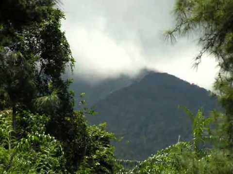 my heart will go on revanista