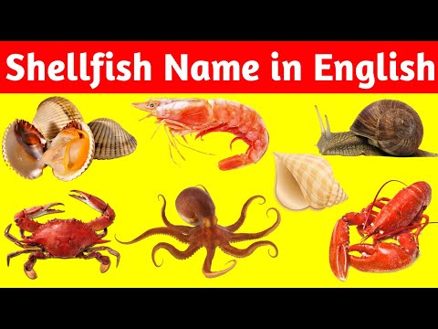 Shellfish Names in English 🦀|🦐#Sea_Food_For_Hoteliers 🐌|🐚 #Hotel_Management ||