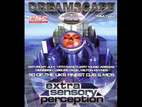 Dj Vibes Dreamscape 25