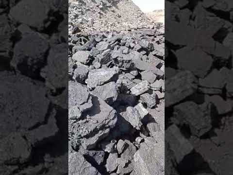 Screened coal