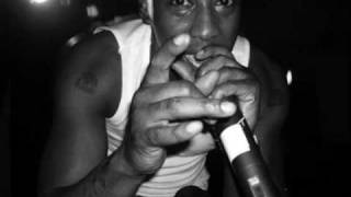 CUT-A-STROPH feat. KEITH MURRAY &amp; LL COOL J - Incredible (RMX)