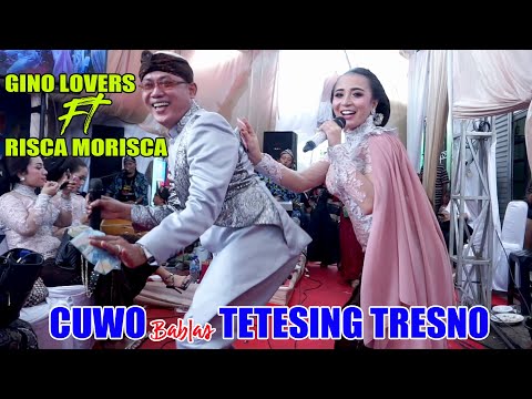 CUWO Bablas TETESING TRESNO | VOC. GINO Ft RISCA MORISCA - CAMPURSARI CAHYO MUDHO