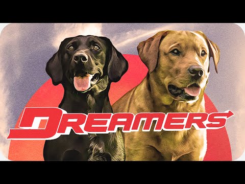 The Pitcher - Dreamers