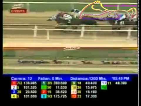 LA RINCONADA 12 CARRERA, DOMINGO 07 DE JUNIO DEL 2015