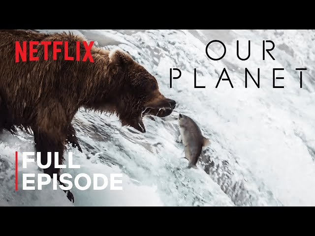 Our Planet | Fresh Water | FULL EPISODE | Netflix SDDEFAULT Thumbnail