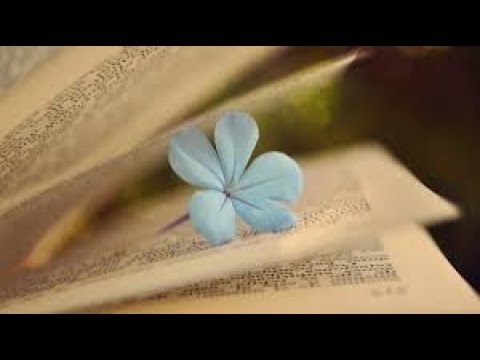 Prelijepo učenje Kur'ana - Ar-Rahman [Milostivi] sa prevodom; Muzammil Hasballah