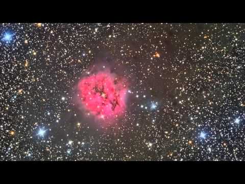 astro trailer almberg