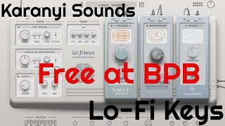 Video thumbnail for Lofi Keys by Karanyi Sounds (No Talking) 1,000 free licenses daily at BPB by Elektronick Musick
