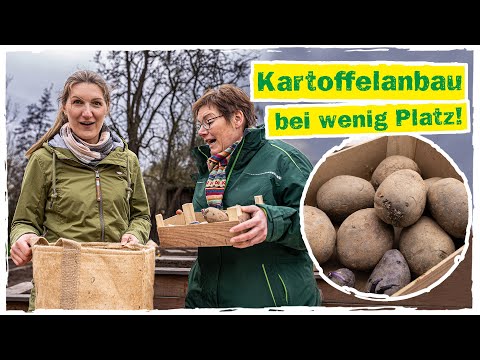 KARTOFFELN PFLANZEN IM SACK: Eine einfache Anleitung zum Anbau 🥔