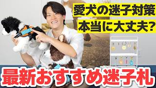 【保存版】犬の迷子対策、これだけは知っておいてください｜おすすめ迷子札DOGGY'sQR紹介【犬グッズ紹介】