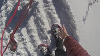 Sun Dog's Vlog: Ridge top snowshoeing with guests is now available! Here's the latest report