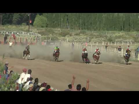 NEGRITO ESTA  "Club Hipico Cabo Alarcón"    Picun Leufu    20-11-2022