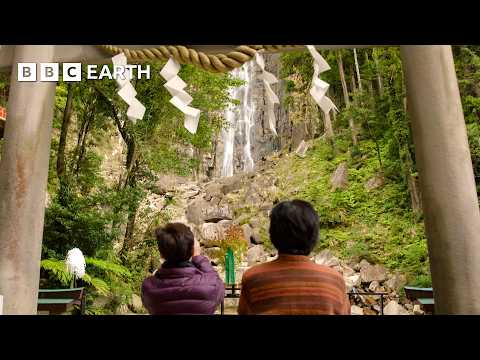 The Sacred Ritual Hidden in Japan's Forests | Japan with Sue Perkins | BBC Earth Explore
