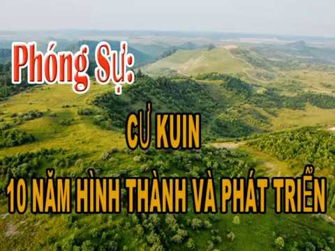 cu-kuin-10-nam-hinh-thanh-va-phat-trien