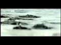 Centr - Небо мне бы ее позабыть.avi 