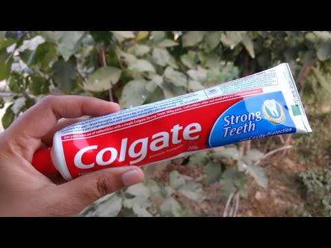 Colgate Toothpaste Colgate Toothpaste Latest Price