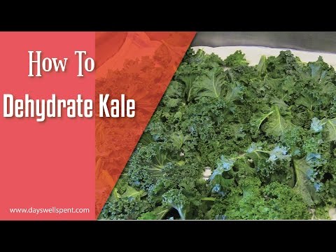 download lagu mp3 mp4 How Long To Dehydrate Kale In Dehydrator, download lagu How Long To Dehydrate Kale In Dehydrator gratis, unduh video klip How Long To Dehydrate Kale In Dehydrator