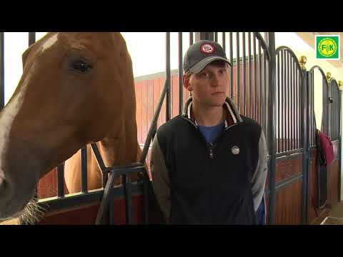 Fôring i hverdagen - Stall Gullik
