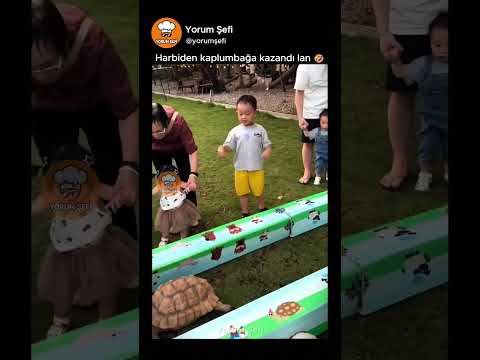Efsane Masal Gerçek Oldu Kaplumbağa ve Tavşan 🐇🐢