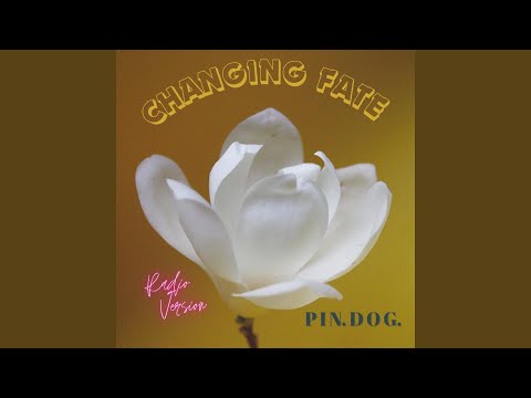 Changing Fate - PIN DOG