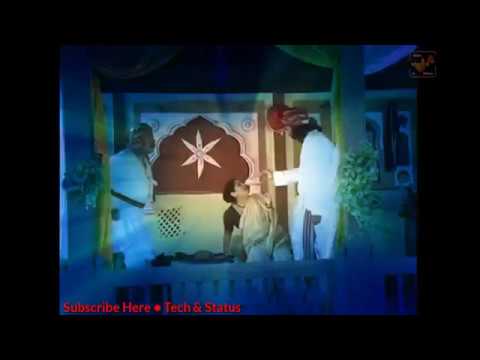 Janm Denarya Aai Bapala Pundlikane Jhalal WhatsApp Status Songs