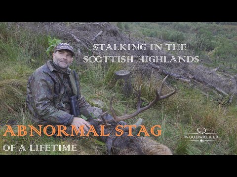 Hirschjagd in den Highlands auf den Abnormen | die besten Jagdfilme | Woodwalker | episode # 63