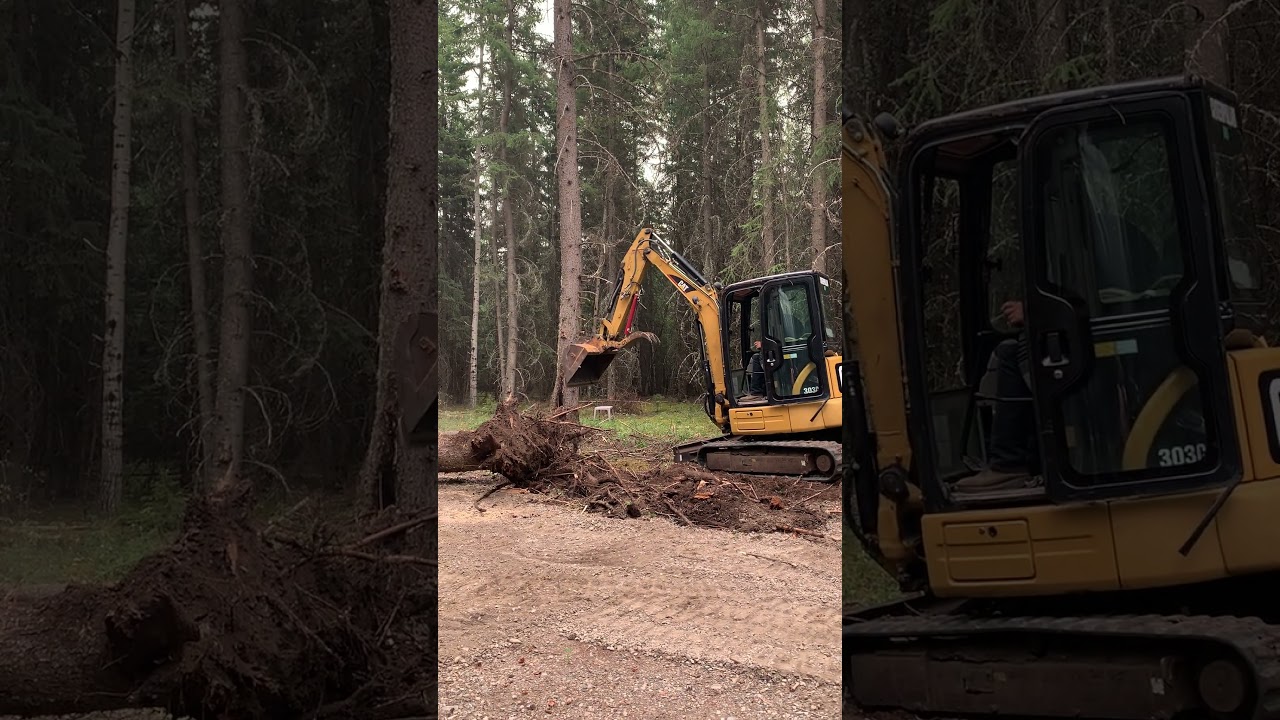 CF712215 E13E 4ABB B706 3B04E8B8808B