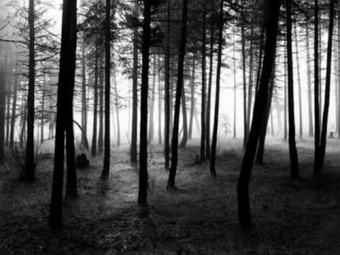 Kryptic Minds - Rule Of Language