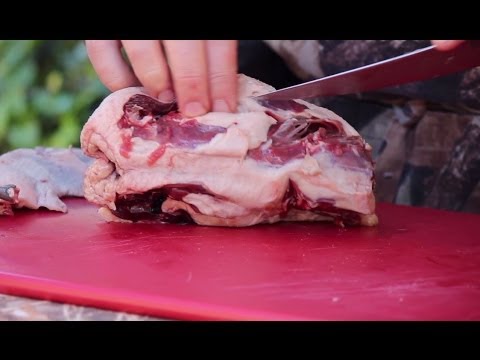 How to Break Down a Duck with Hank Shaw