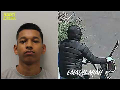 Leytonstone killer chases victim Ghulam Sadiq with zombie knife on CCTV