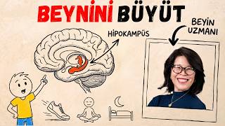 Hafıza ve konsantrasyonu geliştirmenin en etkili yolu (Dr Wendy Suzuki'nin araşt