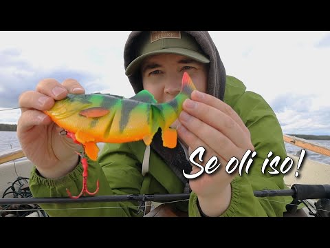 Koukku meni suoraksi! - Hauen kalastusta syksyllä - Kuulumiset