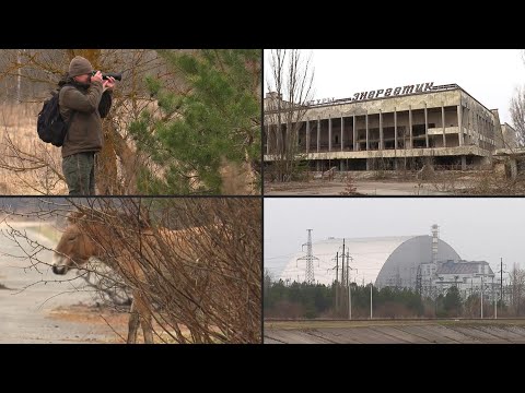Tschernobyl-Sperrzone ist Paradies für Wildtiere | AFP