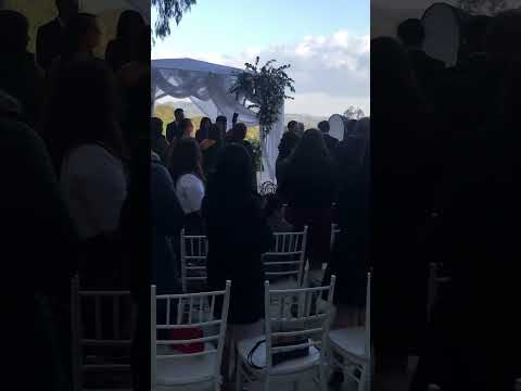 Entrada del Cortejo #violin