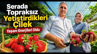 Serada Topraksız Yetiştirdikleri Çilek Yaşam Enerjileri Oldu