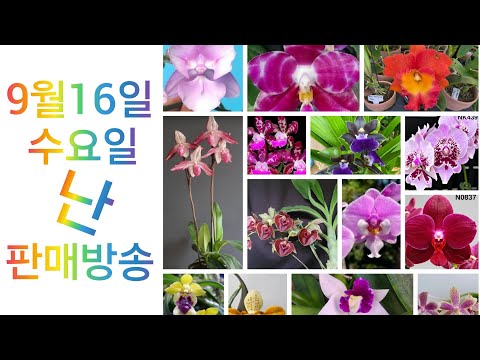 상품 소개 영상