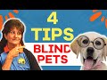 How To Care For A Blind Dog At Home