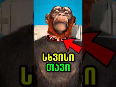 მაიმუნს თავი გადაუნერგეს