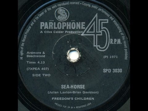 Freedom's Children - Sea-horse