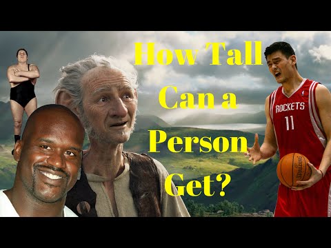 1st YouTube video about how tall is a truly can