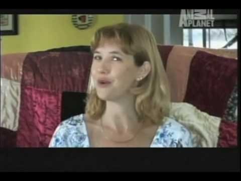 download lagu mp3 mp4 Petfi Rdio, download lagu Petfi Rdio gratis, unduh video klip Petfi Rdio