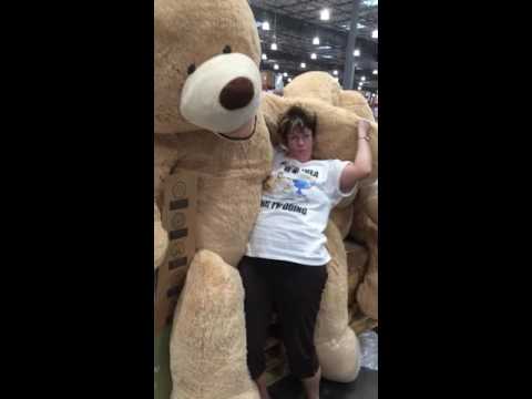 Dancing with a giant bear