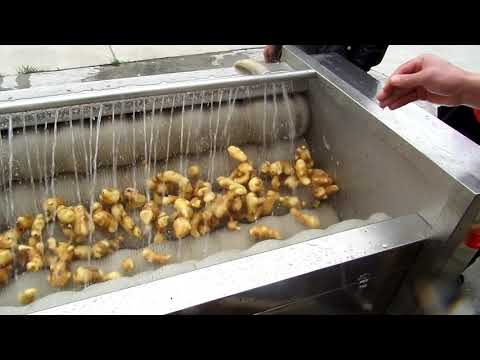 Машина для мойки и чистки корнеплодов (с жесткими щетками) Vega ST 1200