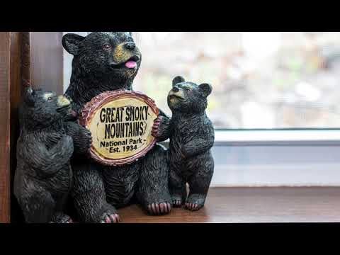 Twin Peaks Video Tour