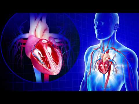 CARDIOVASCULAR by Laura Gasparis CCRN Review