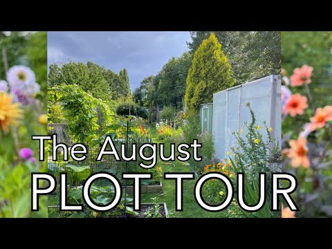 , title : 'August Plot Tour || Plot 37'