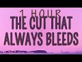 Conan Gray The Cut That Always Bleed 1 Hour
